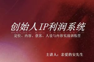 创始人IP利润系统8月训练营,定位、内容、获客、人设与内容实战训练营-虚拟资源库