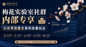 梅花实验室社群内部专享-公众号流量主系列全套玩法-虚拟资源库