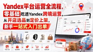 Yandex平台运营全流程,零基础吃透Yandex跨境运营,从开店选品到定价上架,新手一站式入门出单-虚拟资源库