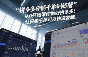 拼多多日销千单训练营,从0开始带你做好拼多多,让日销千单可以快速复制(更新26年9月)-虚拟资源库