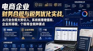 电商企业财务合规与税务优化实战,从行业合规大势切入,系统梳理增值税、企业所得税、个税等全税种要点-虚拟资源库
