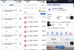 外面卖299的爆款二创配音情感语录教学,一个作品20分钟左右,伙伴计划+剪映拉新+收徒等多种收益-虚拟资源库