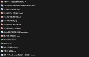 TikTok从0-1实操资料包：养号SOP+爆款公式+投流手册，新手30天可起号变现，抓住TikTok流量红利-虚拟资源库