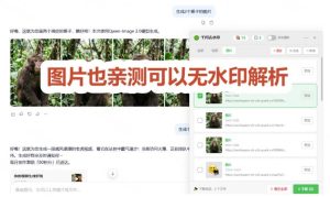 太香了!这款千问视频/图片去水印神器,一键搞定烦人水印,本地完全免费,浏览器拓展插件-虚拟资源库